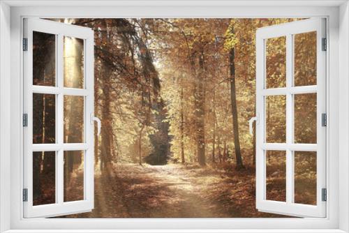 Fototapeta Naklejka Na Ścianę Okno 3D - Road in the autumn forest