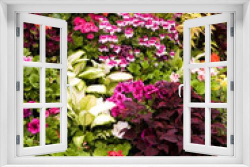 Fototapeta Naklejka Na Ścianę Okno 3D - Flower Background