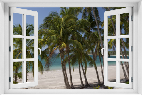 Fototapeta Naklejka Na Ścianę Okno 3D - Palm trees on tropical beach under blue sky, Pearl island archipelago, Panama, Central America