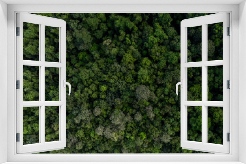Fototapeta Naklejka Na Ścianę Okno 3D - aerial top view green forest tree texture and background, Natural green forest tree background, Tropical rainforest tree ecosystem environment, Texture and background of green tree forest.