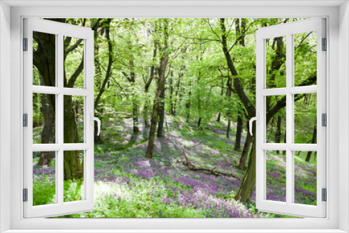 Fototapeta Naklejka Na Ścianę Okno 3D - Flowering forest floor