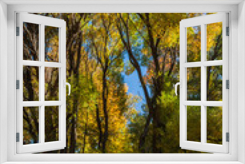 Fototapeta Naklejka Na Ścianę Okno 3D - fall colors