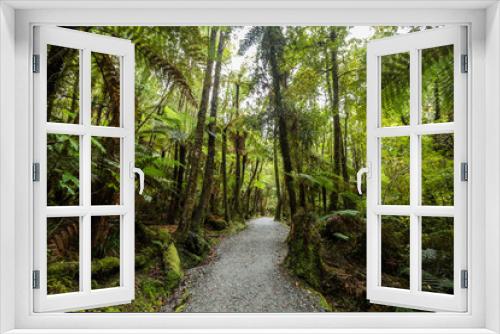 Fototapeta Naklejka Na Ścianę Okno 3D - Native bush of New Zealand