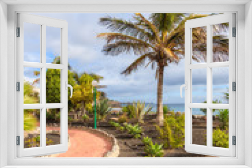 Fototapeta Naklejka Na Ścianę Okno 3D - Palm tree on Playa Blanca coastal promenade, Lanzarote, Canary Islands, Spain