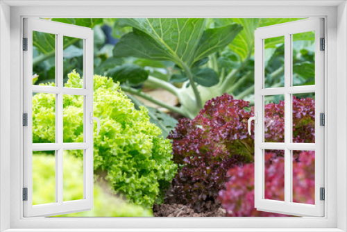 Fototapeta Naklejka Na Ścianę Okno 3D - Gemüse
