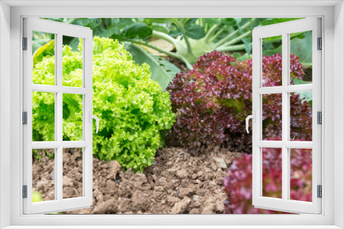 Fototapeta Naklejka Na Ścianę Okno 3D - Gemüse