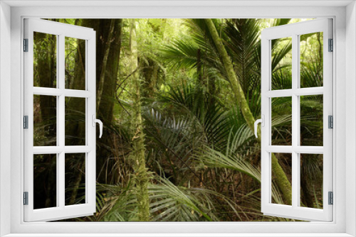 Fototapeta Naklejka Na Ścianę Okno 3D - Jungle