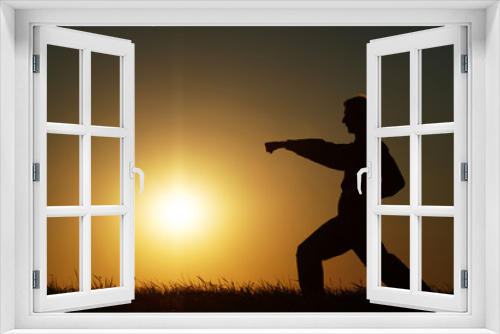 Fototapeta Naklejka Na Ścianę Okno 3D - Silhouette of man in karate exercises on a grassy horizon at sunset. Strike hands gyaku cuki.