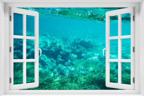 Fototapeta Naklejka Na Ścianę Okno 3D - Underwater seabed reef background