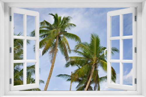 Fototapeta Naklejka Na Ścianę Okno 3D - palm tree, white sand and turquoise sea water, Philippines, Boracay