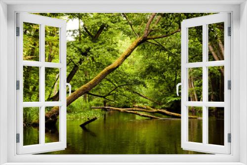 Fototapeta Naklejka Na Ścianę Okno 3D - widok na rzece Drawa