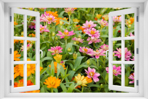 Fototapeta Naklejka Na Ścianę Okno 3D - Flower Garden