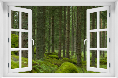 Fototapeta Naklejka Na Ścianę Okno 3D - Deep Woods