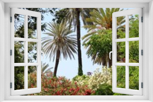 Fototapeta Naklejka Na Ścianę Okno 3D - mediterrane Pflanzenvielfalt