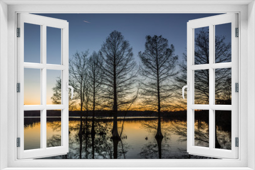 Fototapeta Naklejka Na Ścianę Okno 3D - Stumpy Lake Bald Cypress Silhouette