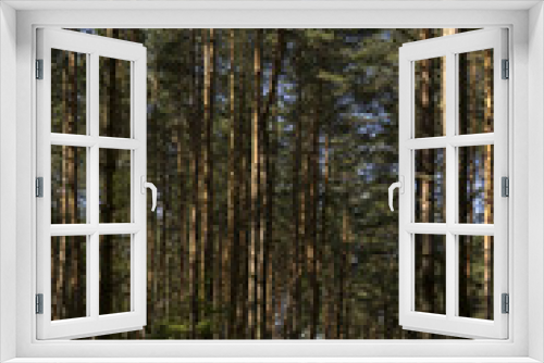 Fototapeta Naklejka Na Ścianę Okno 3D - Тропинка  в лесу.