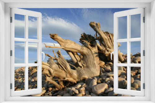 Fototapeta Naklejka Na Ścianę Okno 3D - driftwood skies