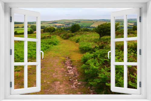 Fototapeta Naklejka Na Ścianę Okno 3D - Landschaft in den Quantock Hills in Somerset, England