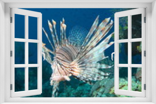 Fototapeta Naklejka Na Ścianę Okno 3D - Lionfish and Coral Reef