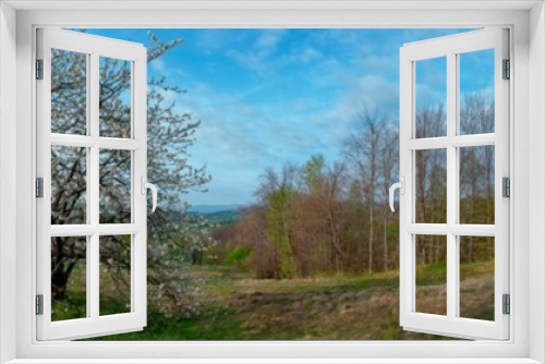 Fototapeta Naklejka Na Ścianę Okno 3D - Panorama of the spring forest near the mountain town. Picturesque landscape of a sunny day.