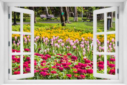 Fototapeta Naklejka Na Ścianę Okno 3D - Beautiful flower in garden