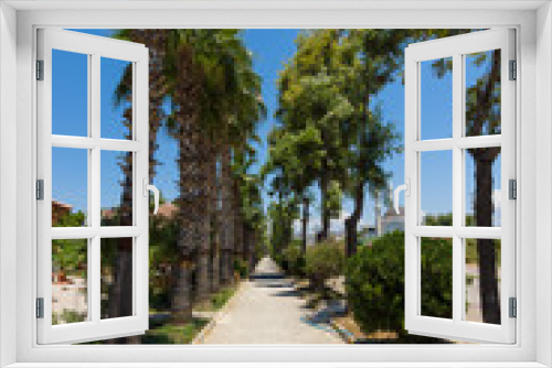 Fototapeta Naklejka Na Ścianę Okno 3D - Palm alley.