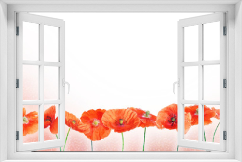 Fototapeta Naklejka Na Ścianę Okno 3D - Bright background with red poppy flowers. Horizontal composition