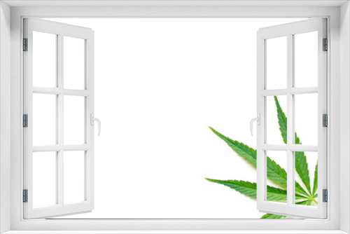 Fototapeta Naklejka Na Ścianę Okno 3D - cannabis leaf