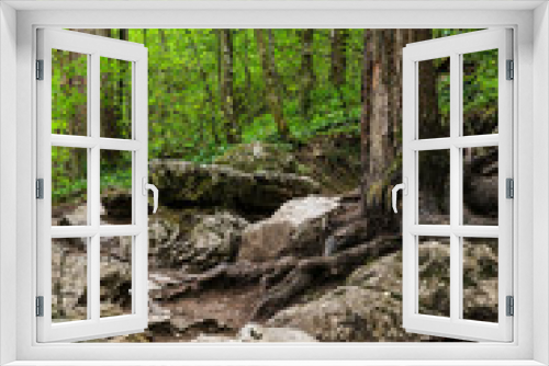 Fototapeta Naklejka Na Ścianę Okno 3D - Wald mit Wanderweg