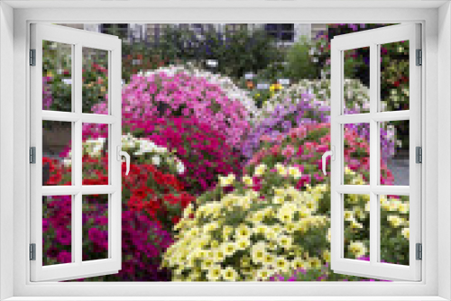 Fototapeta Naklejka Na Ścianę Okno 3D - Beautiful Garden with Profusion of Flowers