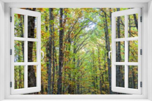 Fototapeta Naklejka Na Ścianę Okno 3D - chestnut forest