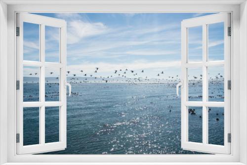 Fototapeta Naklejka Na Ścianę Okno 3D - A flock of birds flying over the ocean