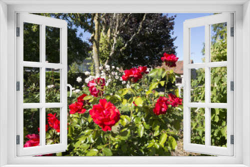 Fototapeta Naklejka Na Ścianę Okno 3D - Red roses and an English country garden