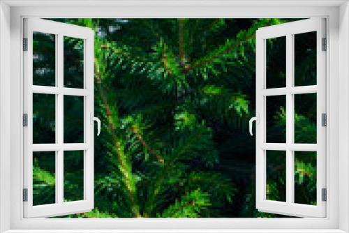 Fototapeta Naklejka Na Ścianę Okno 3D - Spruce