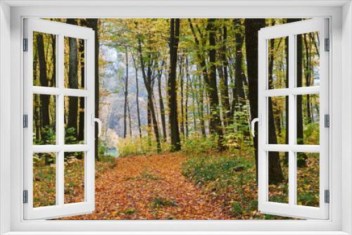 Fototapeta Naklejka Na Ścianę Okno 3D - Pathway in the autumn forest