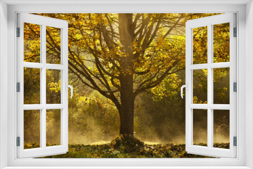 Fototapeta Naklejka Na Ścianę Okno 3D - Autumn color park scene