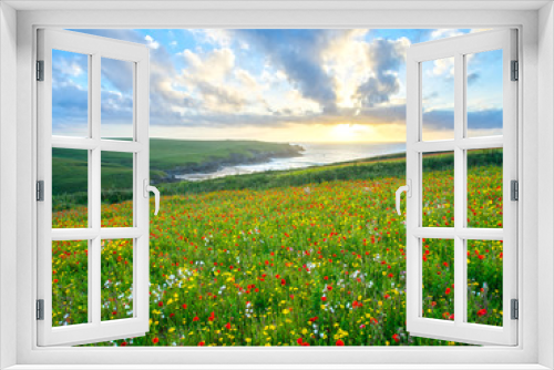 Fototapeta Naklejka Na Ścianę Okno 3D - Wild flowers at Porth Joke Cornwall