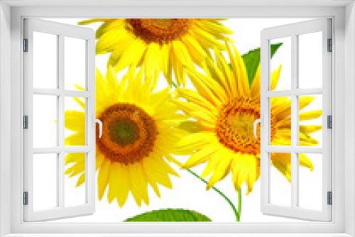 Fototapeta Naklejka Na Ścianę Okno 3D - beautiful sunflower isolated on a white background