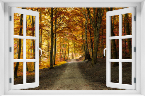 Fototapeta Naklejka Na Ścianę Okno 3D - Autumn fall forest with pathway