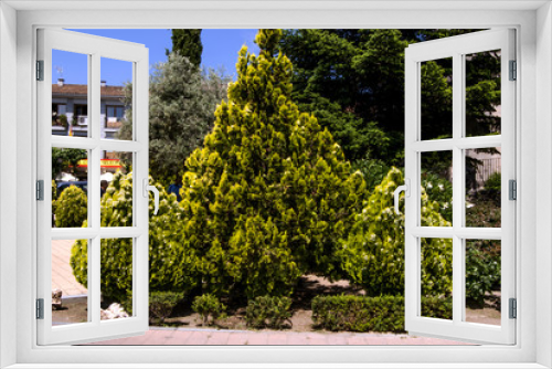 Fototapeta Naklejka Na Ścianę Okno 3D - Arbololes