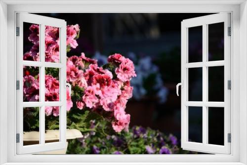 Fototapeta Naklejka Na Ścianę Okno 3D - 濃い色の花
