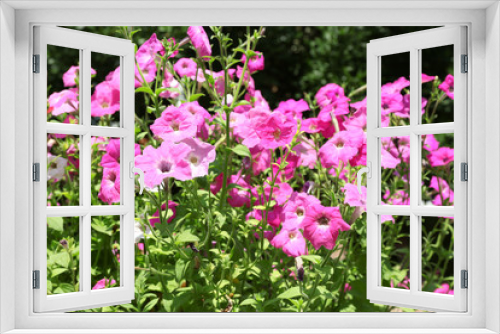 Fototapeta Naklejka Na Ścianę Okno 3D - Fresh flowers over green grass background