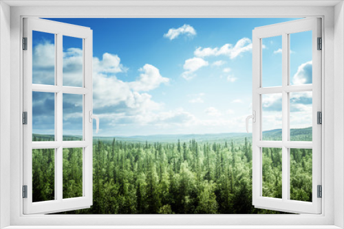 Fototapeta Naklejka Na Ścianę Okno 3D - fir tree forest in sunny day