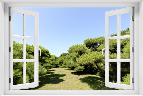 Fototapeta Naklejka Na Ścianę Okno 3D - 庭園