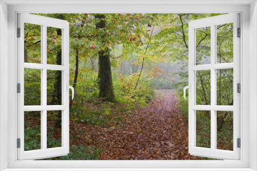 Fototapeta Naklejka Na Ścianę Okno 3D - hiking trail at autumn forest