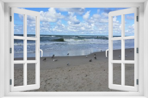 Fototapeta Naklejka Na Ścianę Okno 3D - Odpoczywajace ptaki nad morzem