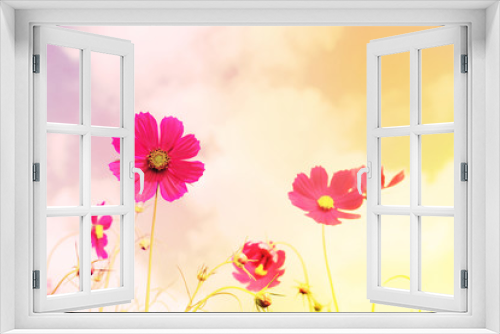 Fototapeta Naklejka Na Ścianę Okno 3D - Retro cosmos flower fields background.