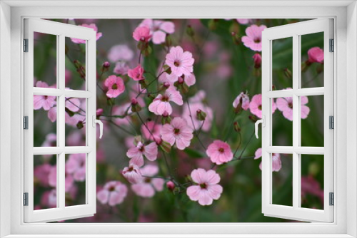 Fototapeta Naklejka Na Ścianę Okno 3D - rosa pink Blüten