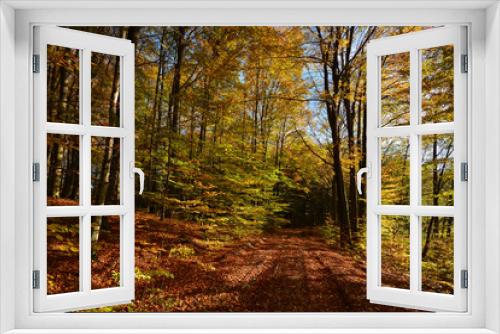 Fototapeta Naklejka Na Ścianę Okno 3D - Dirt road in autumn forest