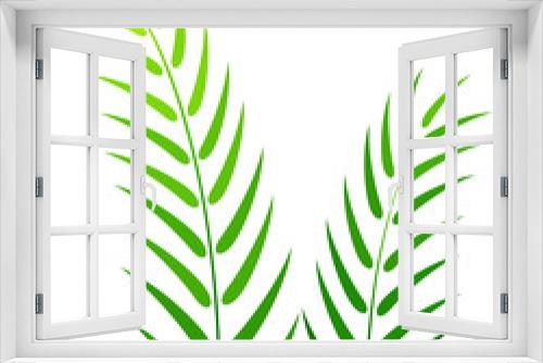 Fototapeta Naklejka Na Ścianę Okno 3D - Green plant on a white background